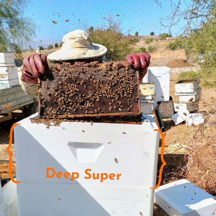 Honey Super