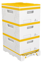 Three Deep Beehive Kit