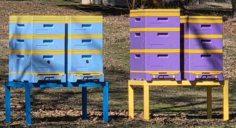 Beekeeper inspecting hive