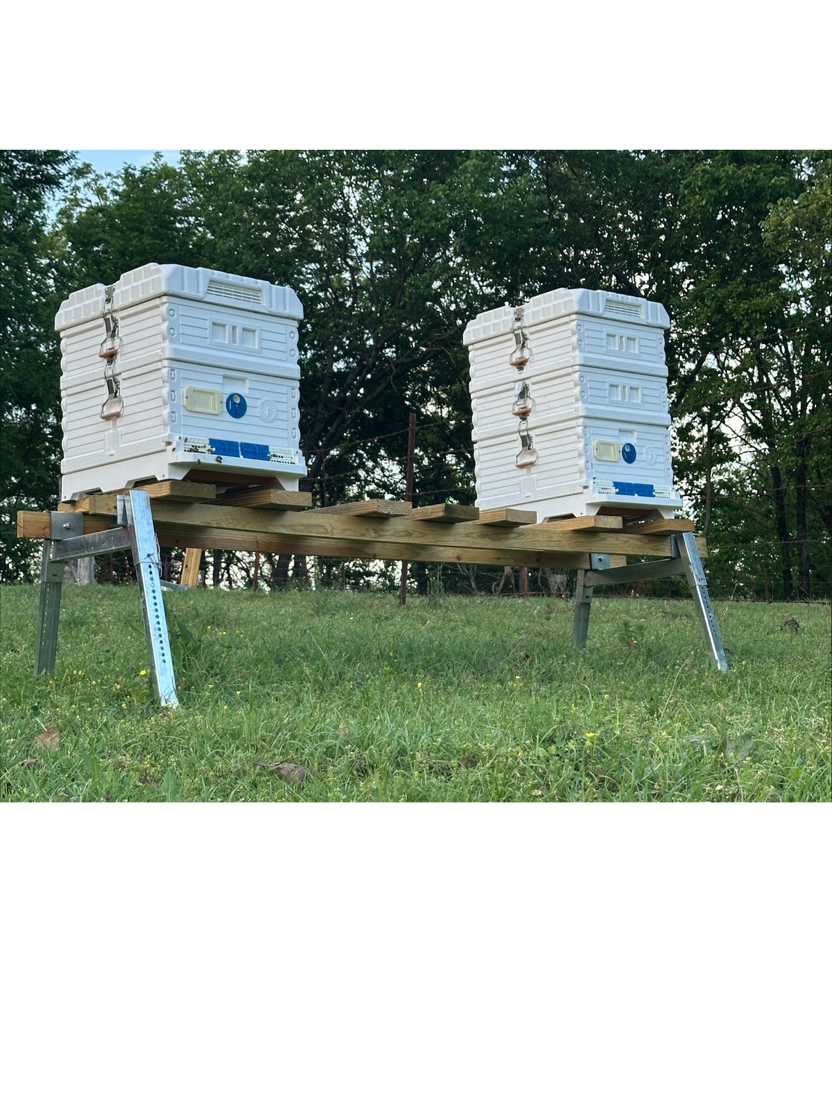 Beekeepers working with hives