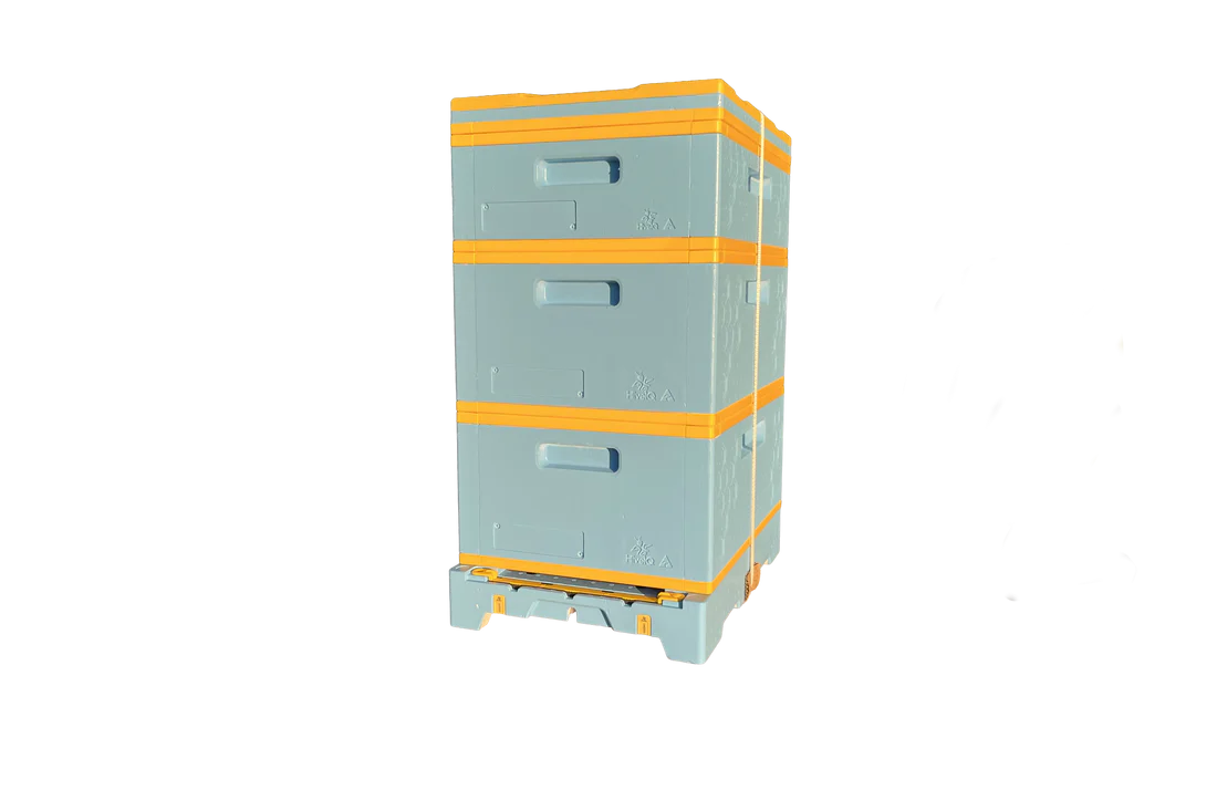 USA Hive Kit (Two Deeps, One Medium)