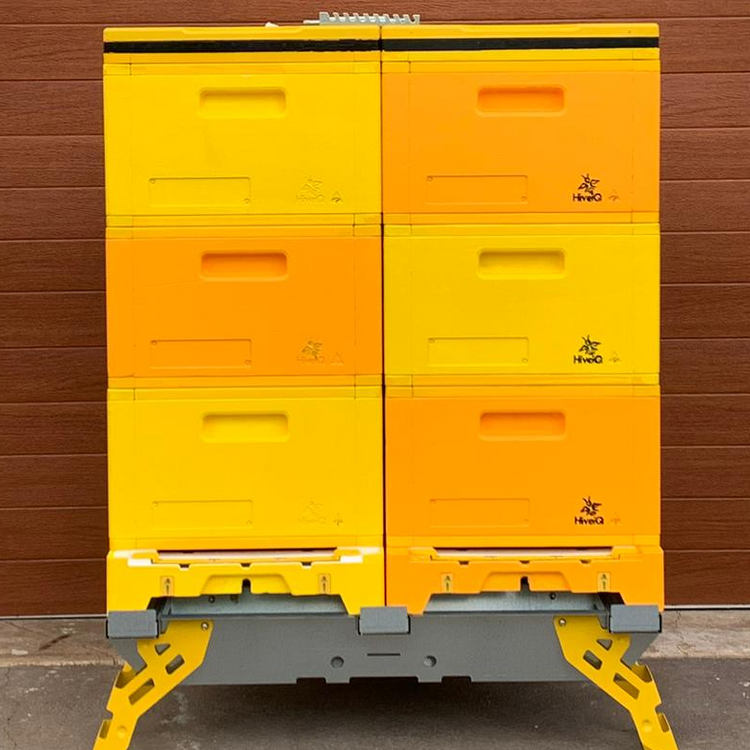 Bano's Bees & Honey