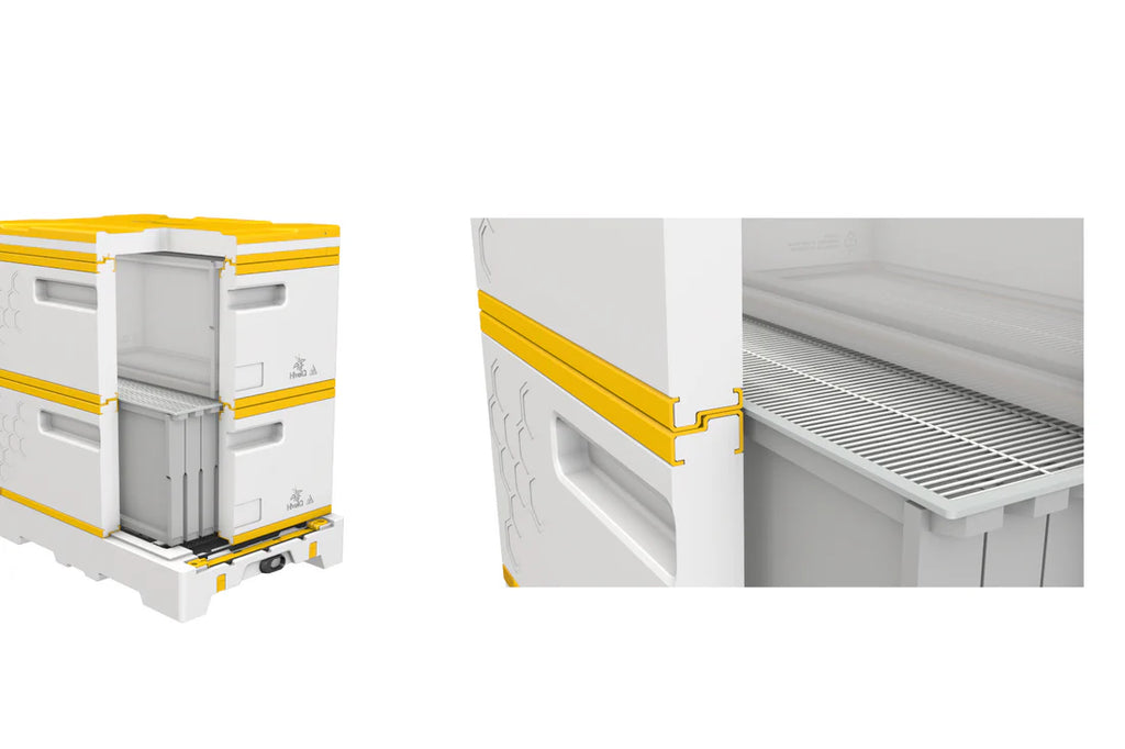 USA Hive Kit (Two Deeps, One Medium)