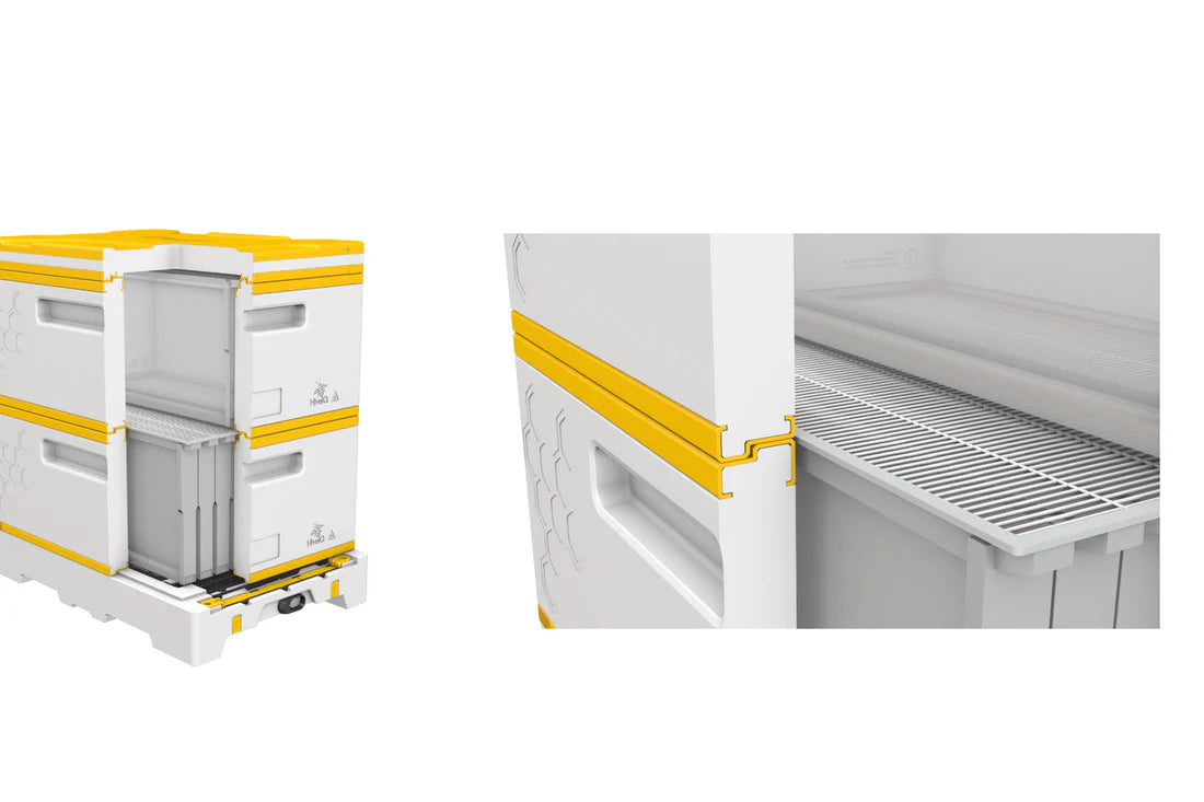 USA Hive Kit (Two Deeps, One Medium)