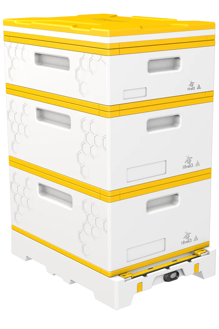 USA Hive Kit (Two Deeps, One Medium)