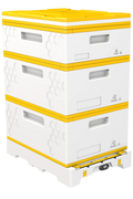 USA Hive Kit (Two Deeps, One Medium)